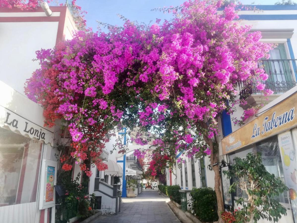 Pension Playa بويرتو دي موغان المظهر الخارجي الصورة